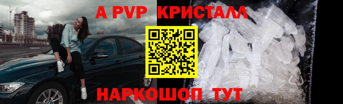 Alfa_PVP СК КРИС Ростов-на-Дону